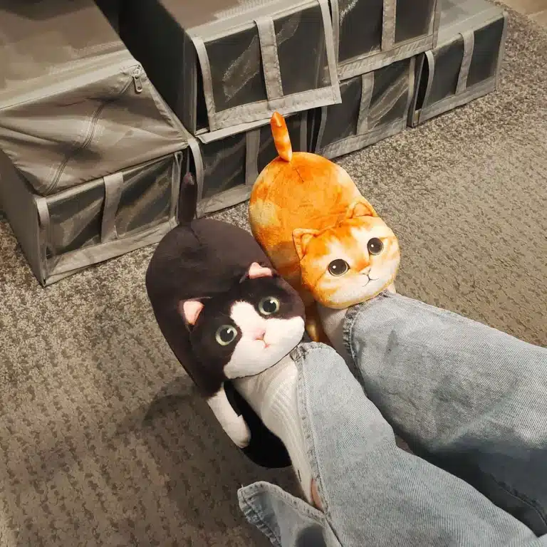 Chausson Chat Homme 1