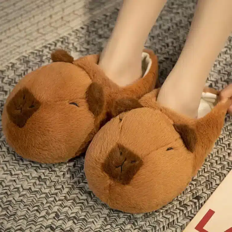 Chausson Capybara 3