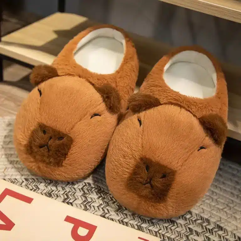 Chausson Capybara 1