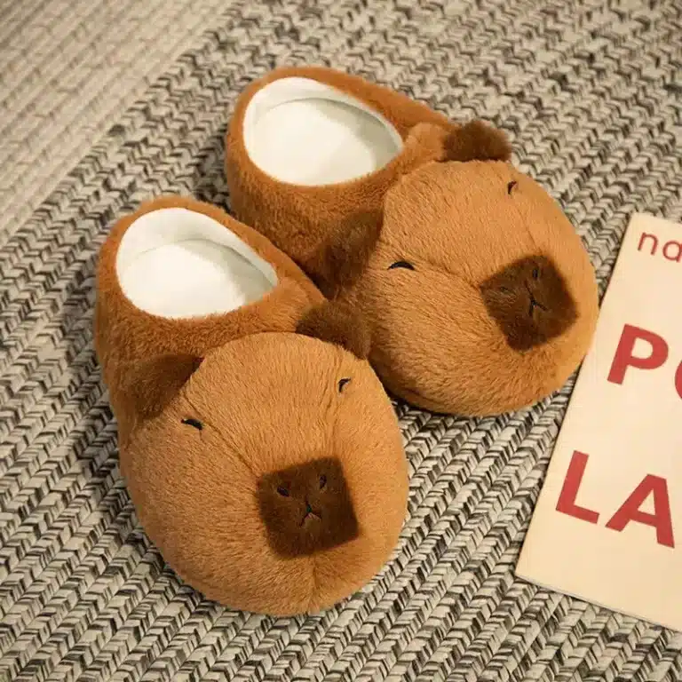 Chausson Capybara 2