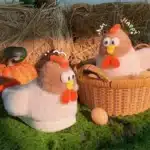 Chaussons Coq 4