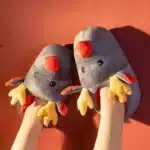 Chausson Renne Fermé 1