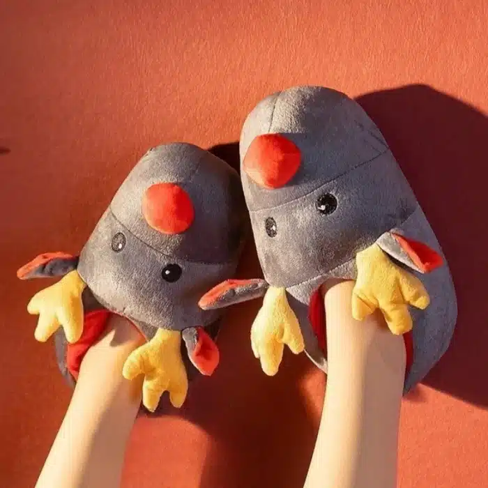 Chausson Renne Fermé 1