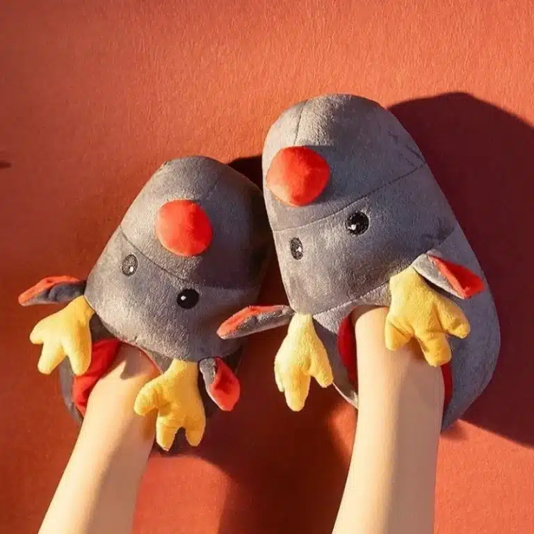 Chausson Renne Fermé 1