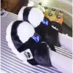 Pantoufle Basket Compensée 1