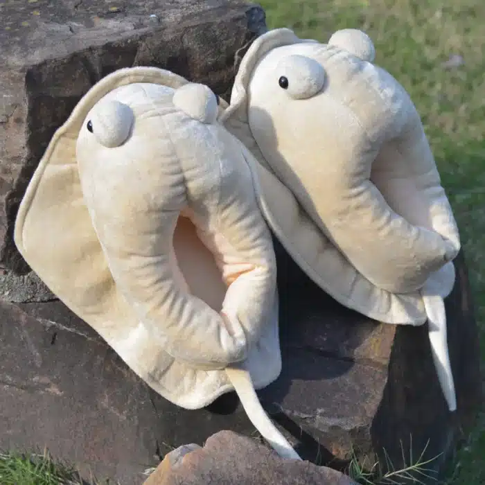 Chausson Raie Manta 1