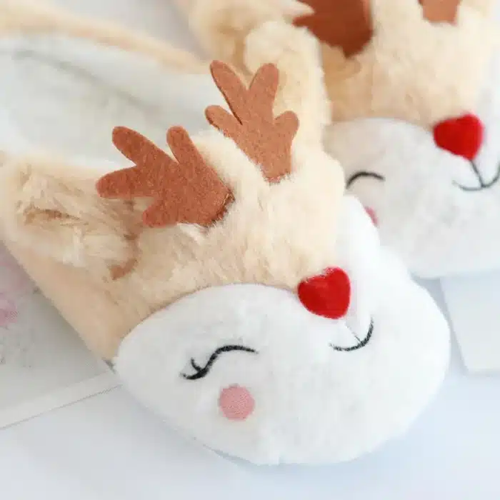 Chaussons Rennes Mignons 6