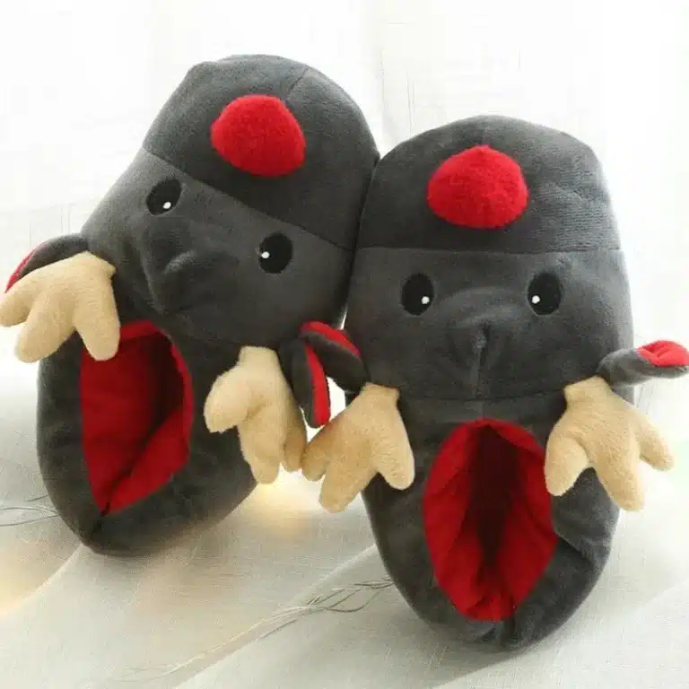 Chausson Renne Fermé 2