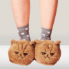 Chaussons Chat Grimace