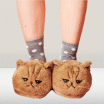 you_are_finished-removebg-preview