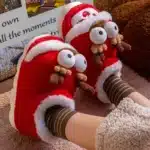 Chaussons Rennes Rigolos 5