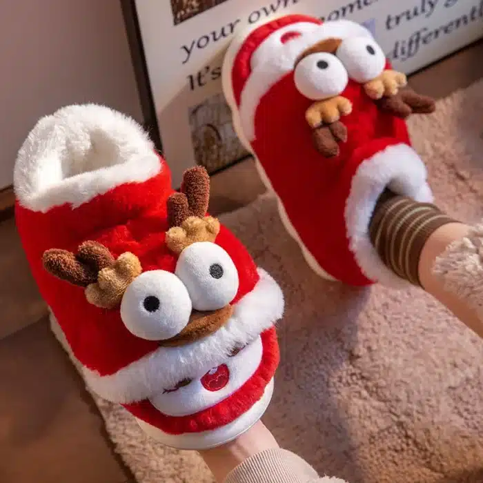 Chaussons Rennes Rigolos 4