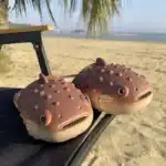 Chaussons Poissons Rigolos 2