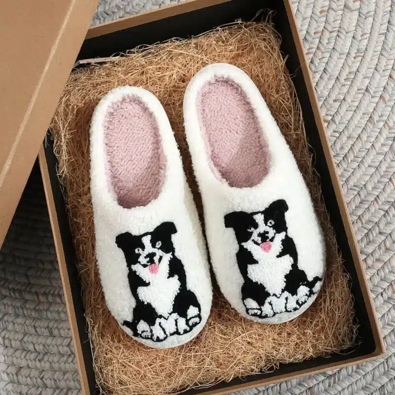 Chaussons Chien Border Collie 1