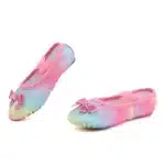 Chaussons De Danse Brillants 4